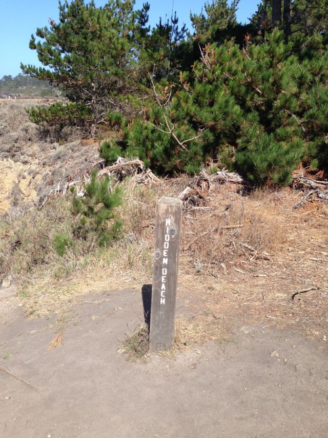 Shhh, it's hiding...