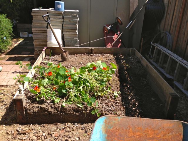 The future cutting garden.