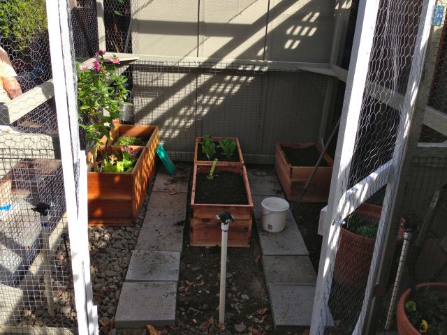 The three new boxes.