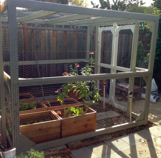 Planter boxes now in the cage.